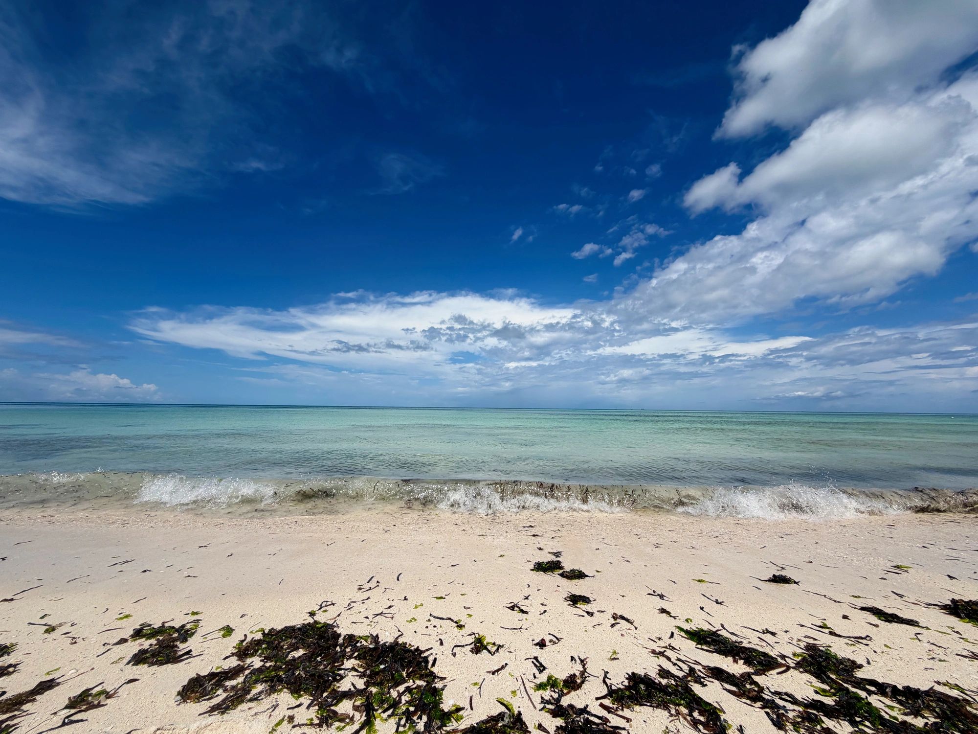 Ocean shoreline inviting supporters to get involved
