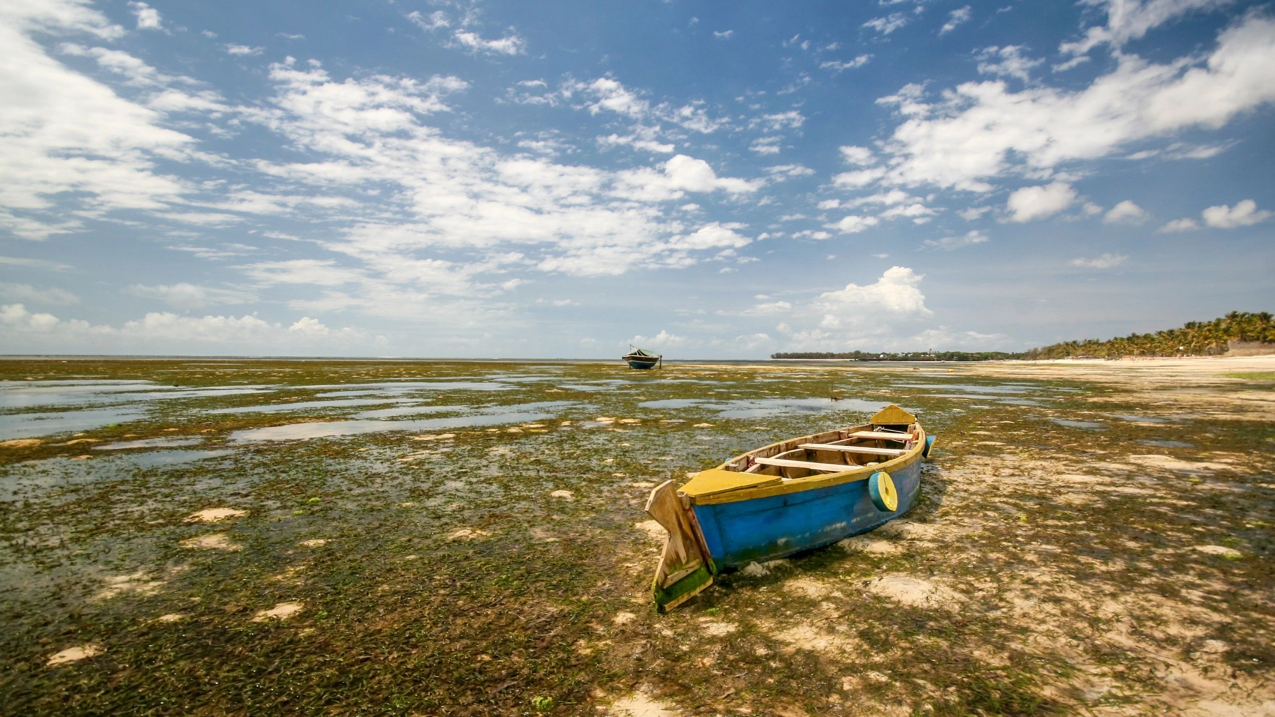 Traditional boat on the Kenyan coast near Watamu at low tide